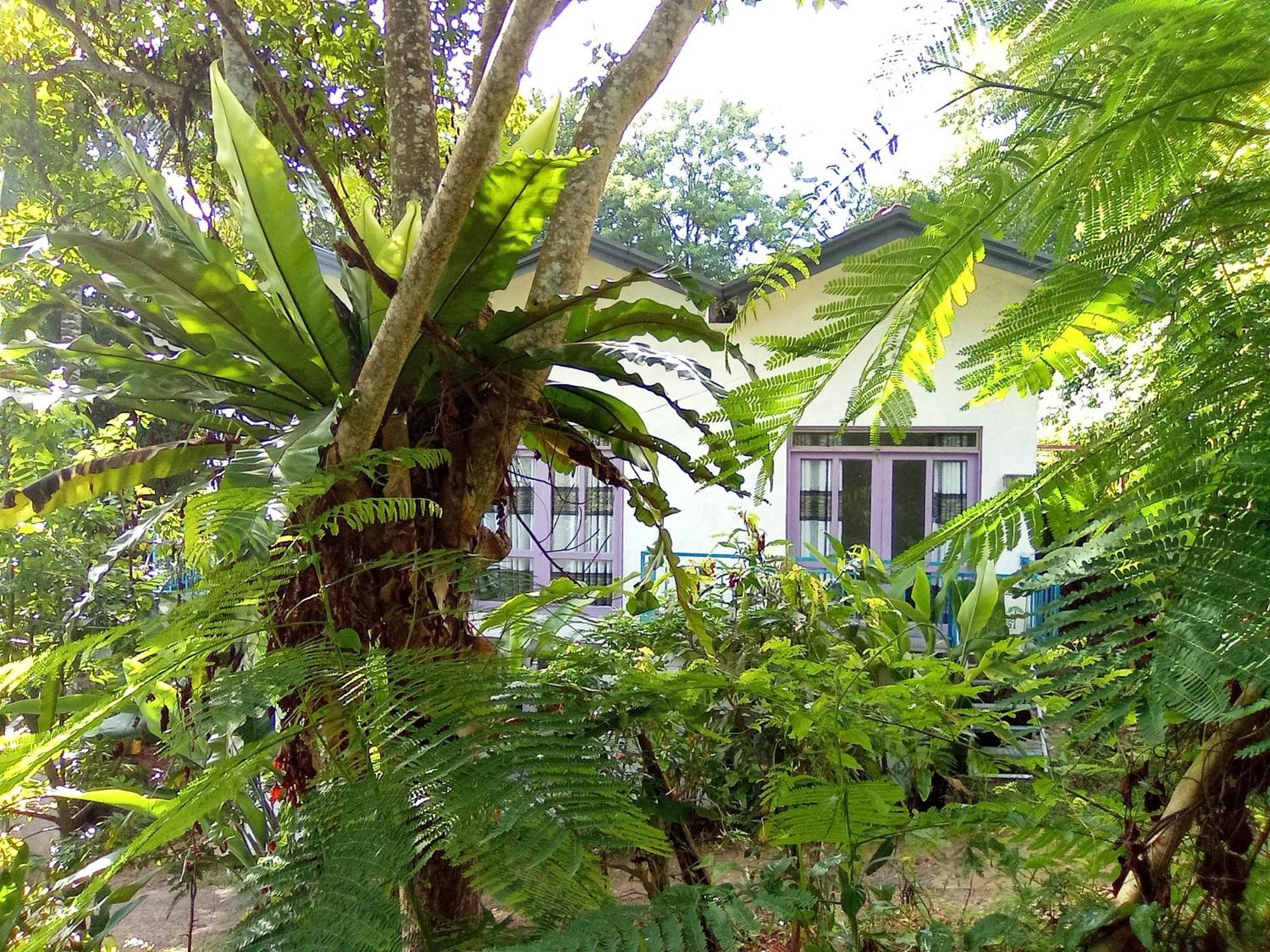 Hotel House 73 à Unawatuna Extérieur photo